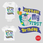 first birthday clothes for baby boy