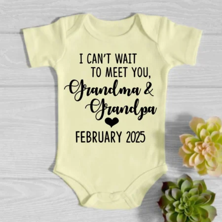 Adorable Pregnancy Gifts For Baby Onesie 2025